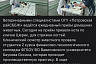 Саратовские ветеринары спасли кота с вросшим в лапу когтем